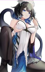 Rule 34 | 1girl, absurdres, arknights, bare shoulders, black hair, black pantyhose, blue dress, blue eyes, blue hair, breast hold, breasts, cleavage, closed mouth, detached sleeves, dress, duster, feather duster, feet out of frame, highres, kjera (arknights), kjera (ingenious servant) (arknights), large breasts, long sleeves, looking at viewer, maid, maid headdress, mizuhashi parusui, multicolored hair, nail polish, official alternate costume, pantyhose, short hair, simple background, solo, spread legs, squatting, strapless, strapless dress, tail, two-tone dress, white background, white dress, white hair, wide sleeves, wrist cuffs
