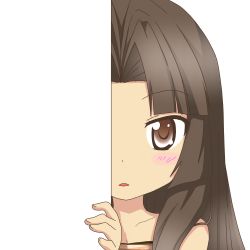 Rule 34 | 10s, 1girl, brown eyes, brown hair, kantai collection, long hair, looking at viewer, nagineko, parted lips, peeking out, shouhou (kancolle), solo, transparent background