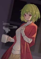 Rule 34 | 1girl, adjusting clothes, alternate costume, beige skirt, blurry, blurry background, bob cut, commentary, cowboy shot, cup, green hair, hand up, highres, holding, holding clothes, holding cup, indoors, kanpa (campagne 9), kazami yuuka, knit sweater, light blush, light smile, long sleeves, looking at viewer, plaid, red eyes, red robe, ribbed sleeves, ribbed sweater, robe, short hair, sidelocks, solo, steam, sweater, touhou, turtleneck, turtleneck sweater, white sweater