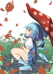 Rule 34 | 1girl, blue bow, blue eyes, blue footwear, blue hair, blue shirt, blue skirt, blush, boots, bow, cirno, falling leaves, from side, full body, hair bow, holding, holding umbrella, ice, ice wings, looking away, looking up, matching hair/eyes, mushroom, oimo (imoyoukan), open mouth, plant, pond, puffy short sleeves, puffy sleeves, rubber boots, shirt, short hair, short sleeves, skirt, skirt set, solo, squatting, standing, standing on liquid, touhou, umbrella, wings