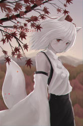Rule 34 | 1girl, :/, animal ears, artist name, bare shoulders, black skirt, blouse, blurry, blurry foreground, branch, breasts, chromatic aberration, closed mouth, cowboy shot, detached sleeves, expressionless, floating hair, forest, from side, hair between eyes, hat, inubashiri momiji, jack masser, leaf, looking at viewer, maple leaf, mountainous horizon, nature, outdoors, pom pom (clothes), red eyes, red hat, shirt, short hair, skirt, sky, small breasts, solo, tail, tokin hat, touhou, turtleneck, twilight, white hair, white shirt, wide sleeves, wolf ears, wolf tail