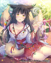 Rule 34 | 1girl, :o, animal ears, bead bracelet, beads, black hair, bracelet, breasts, bucket, cleavage, falkyrie no monshou, fence, fox ears, fox tail, hand up, japanese clothes, jewelry, large breasts, long hair, looking at viewer, miko, nontraditional miko, official art, outdoors, red skirt, ribbon-trimmed skirt, ribbon-trimmed sleeves, ribbon trim, sitting, skirt, solo, soukuu kizuna, spill, tail, watermark, wet, wet clothes, yellow eyes