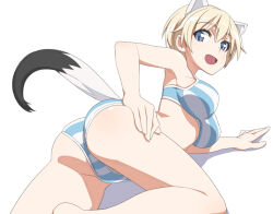Rule 34 | 1girl, animal ears, ass, bikini, blonde hair, blue eyes, blue stripes, blush, brave witches, breasts, large breasts, looking at viewer, nanashino, nikka edvardine katajainen, open mouth, short hair, simple background, smile, solo, striped bikini, striped clothes, swimsuit, tail, weasel ears, weasel tail, white background, white stripes, world witches series