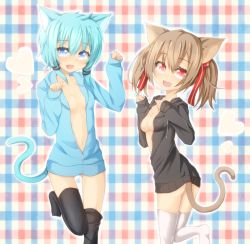 Rule 34 | 10s, 2girls, animal ears, bad id, bad pixiv id, blue eyes, blue hair, brown hair, cat ears, cat tail, hood, hoodie, jacket, multiple girls, naked hoodie, no bra, no panties, open clothes, open hoodie, paw pose, rateratte, red eyes, short hair, silica, silica (sao-alo), sinon, sinon (sao-alo), sword art online, tail, thighhighs, twintails