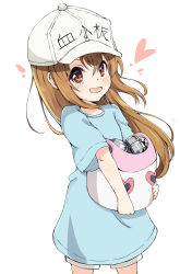Rule 34 | 10s, 1girl, :d, absurdres, blue shirt, brown eyes, brown hair, carrying, commentary, flat cap, hat, hataraku saibou, headwear writing, heart, highres, long hair, looking at viewer, nakatokung, open mouth, platelet (hataraku saibou), shirt, simple background, smile, solo, white background, white hat