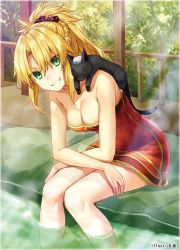 Rule 34 | 1girl, animal, animal on shoulder, artist name, bare arms, bare legs, bare shoulders, bath, black cat, blonde hair, braid, breasts, cat, cleavage, clenched teeth, closed eyes, cropped, crossed arms, fate/apocrypha, fate (series), female focus, green eyes, grin, hair between eyes, highres, leaning, leaning forward, legs, long hair, looking at viewer, lossy-lossless, medium breasts, mordred (fate), mordred (fate/apocrypha), naked towel, onsen, parted bangs, ponytail, red towel, smile, soaking feet, solo, steam, teeth, towel, type-moon, waifu2x, water, wet, yuya (night lily)