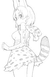Rule 34 | 10s, 1girl, absurdres, animal ears, bad id, bad twitter id, bare shoulders, bow, bowtie, breasts, cowboy shot, donguri suzume, elbow gloves, gloves, greyscale, high-waist skirt, highres, kemono friends, looking at viewer, looking back, medium breasts, monochrome, serval (kemono friends), serval print, serval tail, short hair, simple background, skirt, solo, standing, tail, white background
