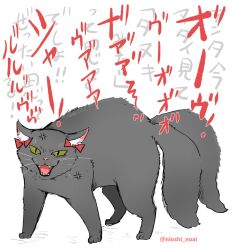Rule 34 | anger vein, black cat, bow, cat, commentary request, full body, green eyes, highres, kaenbyou rin, kaenbyou rin (cat), looking at viewer, multiple tails, noai nioshi, red bow, simple background, tail, touhou, twitter username, two tails, white background