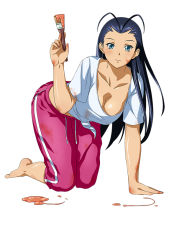 Rule 34 | 00s, 1girl, all fours, barefoot, black hair, blue eyes, breasts, cleavage, collarbone, full body, holding, ikkitousen, kakouen myousai, large breasts, long hair, looking at viewer, shirt, simple background, smile, solo, white background, white shirt
