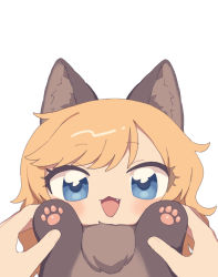 Rule 34 | 1girl, 1other, animal, animal ears, animal hands, animalization, blonde hair, blue eyes, cat, cat ears, cat paws, chiyoko (tykchiyo), fang, holding, holding animal, holding cat, idolmaster, idolmaster cinderella girls, long hair, ohtsuki yui, open mouth, simple background, solo focus