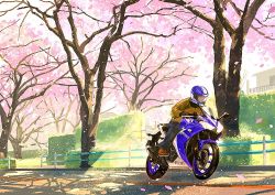 Rule 34 | 1girl, blue pants, brown gloves, brown jacket, cherry blossoms, commentary request, day, denim, gemi, gloves, helmet, jacket, jeans, long sleeves, mobi motorcycle, motor vehicle, motorcycle, motorcycle helmet, original, outdoors, pants, petals, railing, riding, solo, sunlight, tree