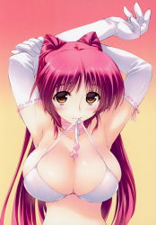 Rule 34 | 1girl, absurdres, amazuyu tatsuki, armpits, arms behind head, arms up, bikini, blush, breasts, brown eyes, cleavage, elbow gloves, gloves, gradient background, highres, holding, kousaka tamaki, large breasts, long hair, looking at viewer, mouth hold, official art, red hair, scan, shiny skin, simple background, solo, swimsuit, to heart (series), to heart 2, upper body, white gloves