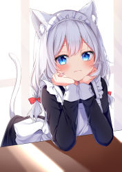 Rule 34 | 1girl, animal ear fluff, animal ears, blue eyes, cat ears, cat tail, closed mouth, hands on own chin, highres, long sleeves, looking at viewer, low twintails, maid, medium hair, original, shinonome asu, simple background, solo, tail, twintails, white background, white hair