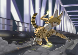 Rule 34 | &gt;:d, 10s, 1girl, :d, animal ears, blonde hair, bridge, commentary request, dust cloud, elbow gloves, fang, gloves, glowing, highres, ichinose rokujo, kemono friends, motion blur, night, on one knee, open mouth, road, rubble, sandstar, serval (kemono friends), serval print, serval tail, short hair, smile, solo, sparks, tail, thighhighs, v-shaped eyebrows, yellow eyes, zettai ryouiki