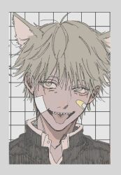 Rule 34 | 1boy, animal ears, bandaid, bandaid on face, black jacket, blonde hair, border, cat ears, chainsaw man, denji (chainsaw man), extra ears, facing viewer, grey background, grey border, highres, jacket, male focus, namida a2, open mouth, portrait, sharp teeth, smile, solo, teeth, tongue, tongue out, yellow eyes