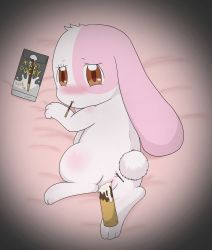 Rule 34 | 1girl, artist request, brown eyes, rabbit, chima, furry, furry female, happy happy clover, highres, pocky day, pussy, solo