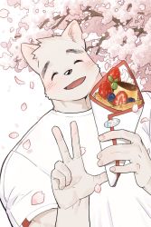 Rule 34 | 1boy, absurdres, animal ears, blush, cherry blossoms, commentary, crepe, english commentary, closed eyes, food, fruit, furry, furry male, highres, male focus, muscular, muscular male, open mouth, shirt, smile, sticker, strawberry, syukapong, t-shirt, v, whipped cream, white shirt