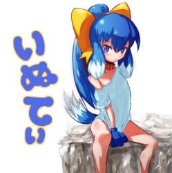 Rule 34 | 1girl, a-tuy, animal ears, animal hands, blue hair, bow, collar, dog ears, dog tail, female focus, gloves, hair bow, inu-t, long hair, nt-tan, off shoulder, os-tan, paw gloves, ponytail, sitting, solo, tail