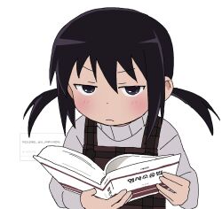 Rule 34 | 1girl, angry, black eyes, black hair, blush, book, closed mouth, doppelschwert, dress, frown, glaring, grey sweater, highres, holding, holding book, jaggy lines, jitome, korean commentary, korean text, long sleeves, looking at viewer, low twintails, marui hitoha, mitsudomoe, open book, pinafore dress, request inset, sanpaku, simple background, sleeveless, sleeveless dress, solo, sweater, turtleneck, turtleneck sweater, twintails, upper body, v-shaped eyebrows, white background