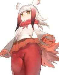 Rule 34 | 10s, 1girl, aos, buttons, closed mouth, cropped legs, expressionless, frilled sleeves, frills, from below, gloves, half-closed eyes, head wings, japanese crested ibis (kemono friends), jitome, kemono friends, legs, long hair, long sleeves, multicolored hair, pantyhose, pleated skirt, red gloves, red pantyhose, red skirt, shirt, simple background, skirt, solo, standing, tail, thighs, two-tone hair, white background, white hair, white shirt, wide sleeves, wings, yellow eyes