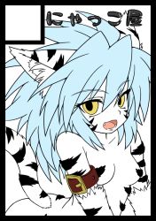 Rule 34 | 1girl, animal ears, bad id, bad pixiv id, black border, blue hair, border, circle cut, fuurin rei, long hair, looking at viewer, nude, open mouth, original, simple background, solo, tail, tomoyan (nyakkoya), white background, yellow eyes