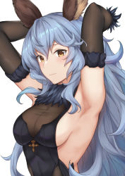 Rule 34 | 1girl, animal ears, armpits, arms behind head, arms up, backless dress, backless outfit, black gloves, blue dress, blue hair, blush, breasts, closed mouth, dress, earrings, elbow gloves, erune, ferry (granblue fantasy), fur collar, gloves, granblue fantasy, hair between eyes, highres, jewelry, licking, long hair, looking at viewer, rabbit ears, sideboob, simple background, small breasts, solo, sweatdrop, terry (pixiv3274443), wavy hair, white background, yellow eyes
