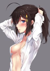 Rule 34 | 1girl, ahoge, alternate costume, alternate hairstyle, arms up, blue eyes, blush, breast pocket, closed mouth, collarbone, commentary request, dress shirt, grey background, hair flaps, hair tie, hair tie in mouth, hairdressing, kantai collection, long hair, long sleeves, looking at viewer, marisasu (marisa0904), mouth hold, no bra, open clothes, open shirt, pocket, ponytail, shigure (kancolle), shigure kai ni (kancolle), shiny skin, shirt, sidelocks, simple background, smile, solo, tying hair, unbuttoned, unbuttoned shirt, upper body, white shirt