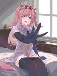 Rule 34 | 1girl, agnes digital (umamusume), animal ears, bed, black gloves, black pantyhose, blue eyes, collared shirt, commentary request, doushi tatsu to dekkai no, elbow gloves, gloves, highres, horse ears, horse girl, horse tail, indoors, long hair, on bed, outstretched hand, panties, pantyhose, pink panties, shirt, short sleeves, smile, solo, sweat, tail, two side up, umamusume, underwear, white shirt, window