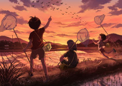 Rule 34 | &gt;o&lt;, 3boys, antenna hair, baseball cap, basket, bird wings, bug, butterfly, butterfly net, child, closed eyes, cloud, cloudy sky, commentary request, evening, from behind, gradient sky, grass, green footwear, hand net, hat, holding, holding butterfly net, horizon, insect, insect cage, male focus, mountain, mountainous horizon, multiple boys, noeyebrow (mauve), on ground, open mouth, orange sky, original, outdoors, pointing, power lines, red shirt, red shorts, rice paddy, road, shirt, short hair, shorts, sitting, sky, smile, summer, sunset, tree, utility pole, water, white shirt, wings