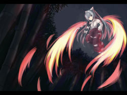 Rule 34 | 1girl, bamboo, bamboo forest, bow, dress shirt, female focus, fiery wings, fire, flying, forest, fujiwara no mokou, hair bow, hand in pocket, highres, letterboxed, long hair, long sleeves, looking at viewer, nature, night, night sky, ofuda, pants, puffy long sleeves, puffy sleeves, red pants, shirt, silver hair, sky, solo, suspenders, touhou, very long hair, white bow, white shirt, wings