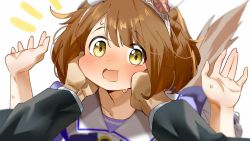 Rule 34 | animal ears, blush, brown eyes, brown hair, commentary request, hakoneko (marisa19899200), hands on another&#039;s cheeks, hands on another&#039;s face, headband, highres, horse ears, horse girl, horse tail, looking at viewer, open mouth, pov, pov hands, school uniform, simple background, surprised, tail, tracen school uniform, umamusume, white background, yukino bijin (umamusume)