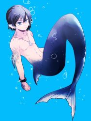 Rule 34 | 1boy, air bubble, black hair, blue background, blue eyes, bracelet, bubble, calem (pokemon), clenched hand, closed mouth, collarbone, commentary request, creatures (company), game freak, jewelry, male focus, merman, monster boy, necklace, nintendo, pokemon, pokemon xy, scales, shirou (shiro uzr), short hair, simple background, solo, topless male, twitter username, underwater