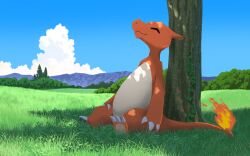 Rule 34 | charmeleon, claws, closed eyes, closed mouth, cloud, commentary request, creatures (company), fang, fire, game freak, gen 1 pokemon, grass, happy, horizon, illustration room nagi, leaning back, nintendo, no humans, outdoors, pokemon, pokemon (creature), satisfied, scenery, sitting, sky, summer, tree shade