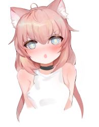 Rule 34 | 1girl, absurdres, animal ear fluff, animal ears, bad id, bad pixiv id, bare shoulders, black choker, blue eyes, blush, cat ears, chestnut mouth, choker, commentary, cropped torso, dokomon, hair between eyes, highres, hinata channel, long hair, looking at viewer, nekomiya hinata, nose blush, open mouth, pink hair, shirt, sidelocks, simple background, solo, star-shaped pupils, star (symbol), symbol-only commentary, symbol-shaped pupils, tank top, upper body, very long hair, virtual youtuber, white background, white shirt