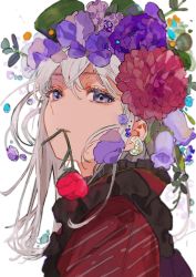Rule 34 | 1girl, absurdres, buchi (qooo003), commentary request, earrings, flower, flower in mouth, frills, grey hair, hair between eyes, hair flower, hair ornament, highres, jewelry, long hair, mouth hold, original, purple eyes, purple flower, red flower, simple background, solo, upper body, white background