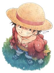 Rule 34 | 1boy, aco peda, black hair, blue shorts, closed mouth, from above, grass, hat, highres, male focus, monkey d. luffy, one piece, red shirt, sandals, sash, scar, scar on chest, scar on face, shirt, short hair, shorts, signature, smile, solo, straw hat, yellow sash