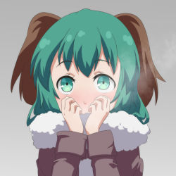 Rule 34 | alternate costume, animal ears, blush, breath, cato (monocatienus), coat, commentary, covering own mouth, dog ears, green eyes, green hair, grey background, hands up, kasodani kyouko, simple background, solo, touhou, upper body, winter clothes, winter coat