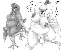 Rule 34 | artist request, bird, censored, chicken, closed eyes, highres, monochrome, no humans, open mouth, penis, pussy, sex