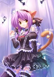 Rule 34 | animal ears, bell, black thighhighs, cat ears, cat tail, duplicate, earrings, frilled thighhighs, frills, goth fashion, gothic lolita, jewelry, jingle bell, lingerie, lolita fashion, petticoat, purple hair, short hair, solo, tail, tail bell, tail ornament, thighhighs, ueda ryo, ueda ryou, underwear, yellow eyes
