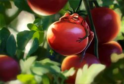 Rule 34 | blurry, blurry background, blurry foreground, creature, depth of field, food, frog, holding, leaf, no humans, noske, original, plant, tomato, what