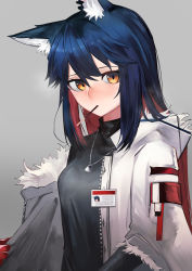 Rule 34 | 1girl, absurdres, animal ear fluff, animal ears, ao oni (onioni-aoi), arknights, black shirt, blue hair, blush, breasts, colored inner hair, commentary request, ear piercing, food, fur-trimmed sleeves, fur trim, gloves, gradient background, grey background, highres, id card, jacket, jewelry, long sleeves, looking at viewer, medium breasts, mouth hold, multicolored hair, necklace, nose blush, off shoulder, official alternate costume, open clothes, open jacket, orange eyes, piercing, pocky, red gloves, red hair, shirt, solo, texas (arknights), texas (winter messenger) (arknights), two-tone hair, unzipped, upper body, white jacket, wolf ears