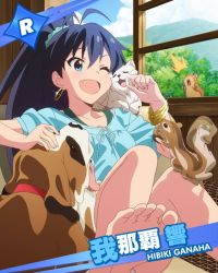 Rule 34 | 10s, 1girl, ;d, animal, aqua eyes, barefoot, black hair, bracelet, cat, character name, d:, day, dog, earrings, fang, feet, ganaha hibiki, hamster, hamuzou, idolmaster, idolmaster (classic), idolmaster million live!, inumi, jewelry, long hair, official art, one eye closed, open mouth, ponytail, smile, soles, squirrel, toes, wink