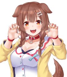 Rule 34 | 1girl, :d, ako suke, animal ears, blush, bone hair ornament, braid, brown hair, claw pose, collar, collarbone, dog ears, dog girl, dog tail, fangs, fingernails, hair ornament, hairclip, hands up, hololive, inugami korone, inugami korone (1st costume), jacket, long hair, long sleeves, nail polish, open clothes, open jacket, open mouth, red eyes, shirt, simple background, smile, solo, tail, teeth, twin braids, upper body, upper teeth only, virtual youtuber, white background, white shirt, wristband, yellow jacket, yellow nails