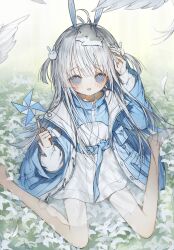Rule 34 | 1girl, ahoge, animal ears, aochan 1325, barefoot, bird, blue eyes, blush, child, commentary request, creature, dove, dress, feathers, flower, grass, grey hair, hair ornament, highres, jacket, long hair, looking at viewer, open clothes, open jacket, open mouth, original, outdoors, pinwheel, rabbit ears, rabbit hair ornament, ringed eyes, sitting, smile, solo, wariza