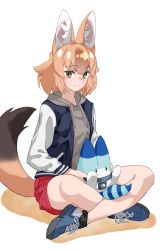 Rule 34 | 1girl, absurdres, animal ear fluff, animal ears, brown eyes, brown hair, cross-laced footwear, dhole (kemono friends), drawstring, extra ears, full body, grey hoodie, highres, hood, hood down, hoodie, indian style, jacket, kemono friends, long sleeves, looking at viewer, lucky beast (kemono friends), medium hair, open clothes, open jacket, shoes, simple background, sitting, smile, sneakers, solo, tail, tanabe (fueisei), white background