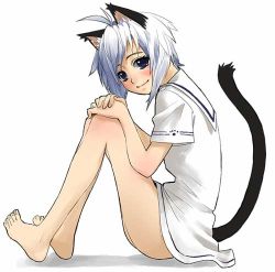 Rule 34 | 1girl, ahoge, animal ears, barefoot, blue eyes, cat ears, cat tail, dress, from side, hands on own knees, jpeg artifacts, looking at viewer, lowres, no panties, original, sailor dress, short hair, sitting, smile, solo, tail, takano saki, white hair