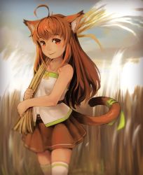 Rule 34 | 1girl, animal ears, blush, brown hair, cat, cat ears, cat tail, highres, long hair, looking at viewer, original, red eyes, segamark, smile, solo, tail, wheat
