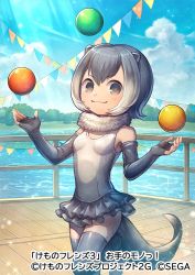 Rule 34 | 1girl, :3, animal ears, ball, blush, commentary request, cowboy shot, elbow gloves, fingerless gloves, frilled swimsuit, frills, fur collar, gloves, grey gloves, grey hair, grey one-piece swimsuit, grey thighhighs, juggling, kemono friends, kemono friends 3, kiitos, looking at viewer, multicolored hair, official art, one-piece swimsuit, otter ears, otter girl, otter tail, short hair, sleeveless, small-clawed otter (kemono friends), solo, swimsuit, tail, thighhighs, white fur, white hair, zettai ryouiki