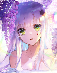 Rule 34 | 1girl, apple caramel, backlighting, blush, breasts, collarbone, commentary, facial mark, flower, girls&#039; frontline, green eyes, hair ornament, head tilt, highres, hk416 (girls&#039; frontline), long hair, looking at viewer, parted lips, partially submerged, purple flower, revision, silver hair, small breasts, solo, teeth, upper body, upper teeth only, water, wet, wisteria