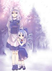 Rule 34 | 2girls, alternate hairstyle, bad id, bad pixiv id, badge, blush, bow, cirno, female focus, gorota, hair bow, letty whiterock, light purple hair, long hair, looking at viewer, mary janes, multiple girls, purple eyes, purple theme, shoes, short hair, smile, standing, touhou, wings